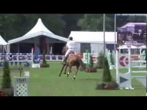 11y old, Grand Balou SOLD