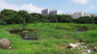 preview picture of video 'Greenery spreading throughout the city - Kaohsiung Metropolitan Park (English) HD movie'