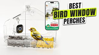3 BEST Bird Window Perch