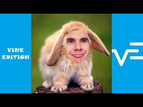 Funniest Christian DelGrosso Videos Compilation - Vine Edition✔