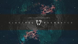 Electric Sasquatch - Aquarimantima