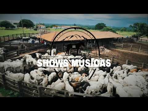 Quem Nasceu Peão_ Vai Morrer peão - Bruno Reis & Thiago feat Marcos Brasil (os maiores sucessos)