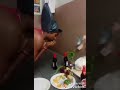 Gatari Special Funny Videos