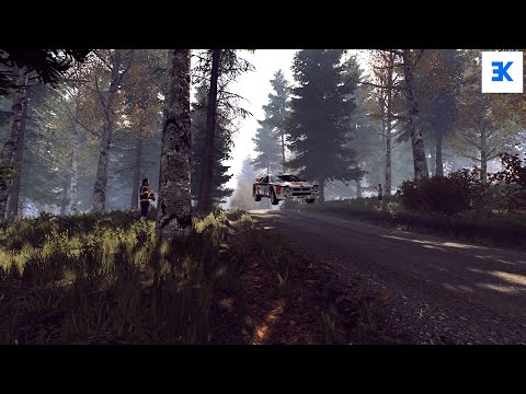 Dirt Rally 2.0 | Career Mode: A Short View Back to the Past (Part 13)