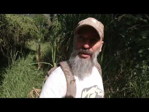 Zemlja bogataša Privatna džungla, dva vodopada i prirodni bazeni