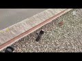 Video: Kees Grinwis