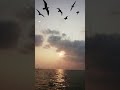 Raataan Lambiyan Shershaah Sidharth Kiara Tanishk B Jubin Nautiyal Shershaah Ytshorts