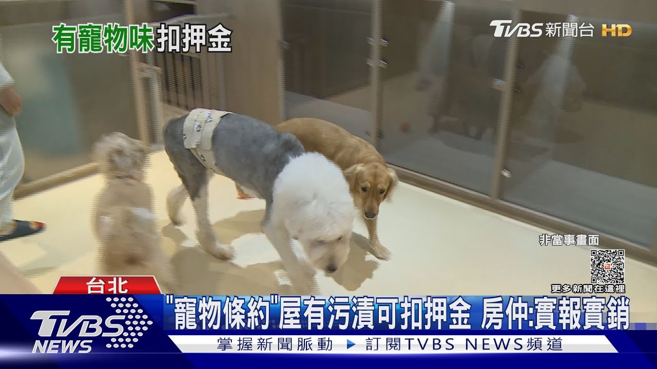 「打掃+點交完」房東又稱屋有狗味　扣1個月押金