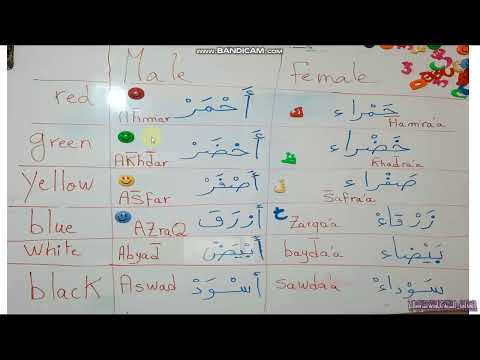 #colors #in #arabic #for #male #and #female