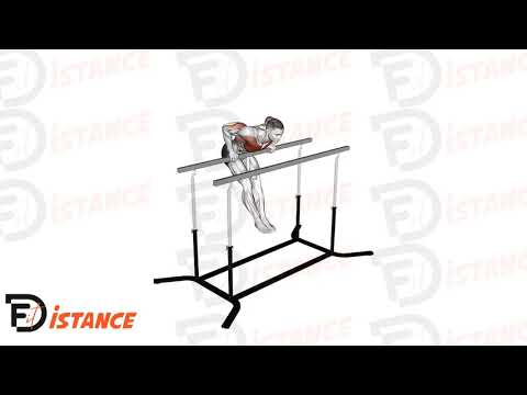 Dips sur barre droite - Exercice Dips sur barre droite en vidéo