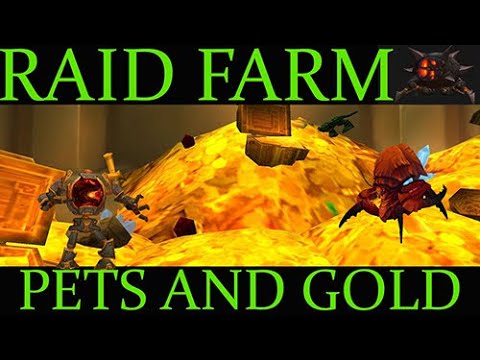 Farming raids for pets and gold in WOW