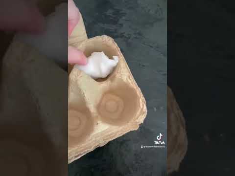 How to grow flowers seeds in egg cartons step by step
