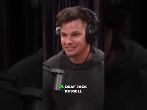 Eddie Bravo: The Deaf Jack Russell of Jiu-Jitsu