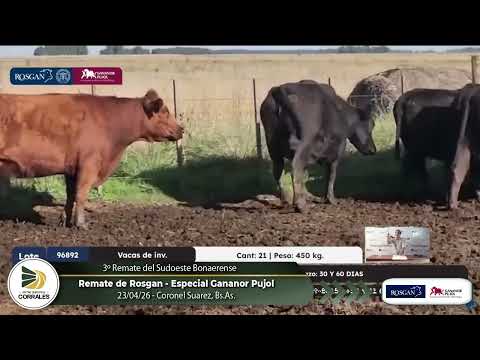 23-04-26 - 3º Remate del Sudoeste Bonaerense - Gananor Pujol - Coronel Suarez, Bs.As.
