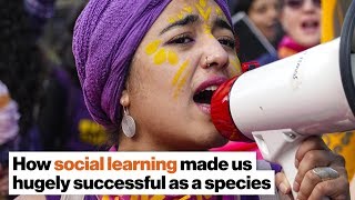 How social learning made us hugely successful as a species | Nicholas Christakis