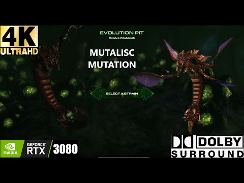 STARCRAFT 2 - HEART OF THE SWARM - HARD WALKTHROUGH - MUTALISK MUTATION  - 4K ULTRA - no commentary