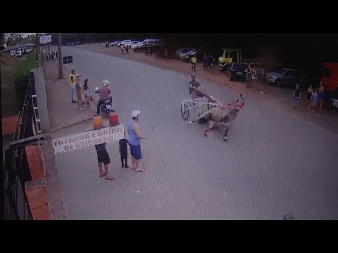 Polícia Civil investiga corrida de charretes clandestinas em Cordeirópolis