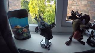 Quick room tour on eurovision song contest night