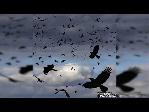 EVILLAIRE - FLOCK ! (PROD. ISRAEL.209 + NXSTA) {RODEOGLO MIX}