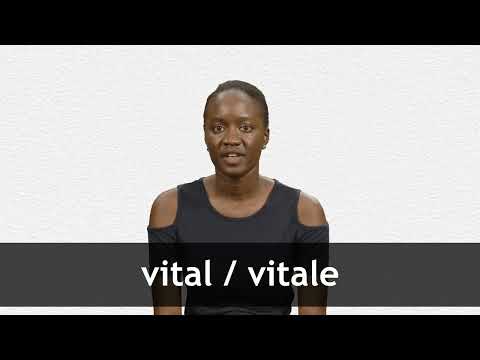How to pronounce VITAL / VITALE in French
