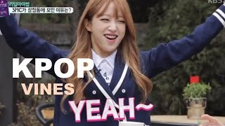 Kpop Girl Groups Vines #1