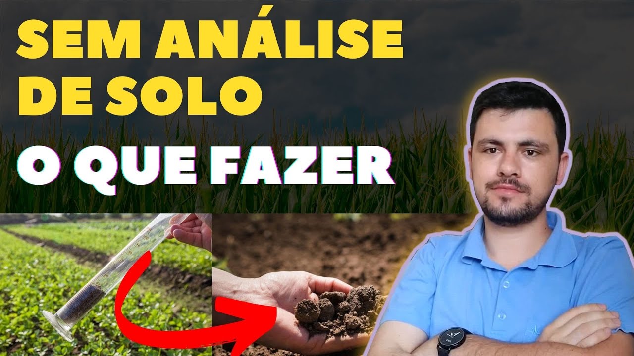 SEM ANÁLISE de solo o que eu posso fazer