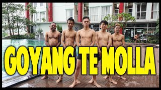 Download lagu GOYANG TE MOLLA REMIX - NOFIN ASIA mp3