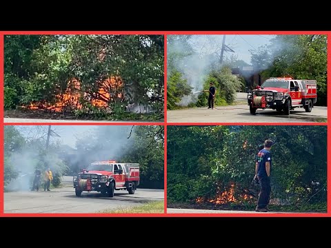 Wayne NJ Fire Dept operating at a small area of brush on fire at 24 Galise Drive behind LACE Club