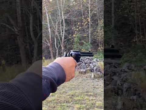 Smoke Wagon Single Action #shortsfeed #shortsvideo #shortsyoutube #shorts #guns #revolver #magnum