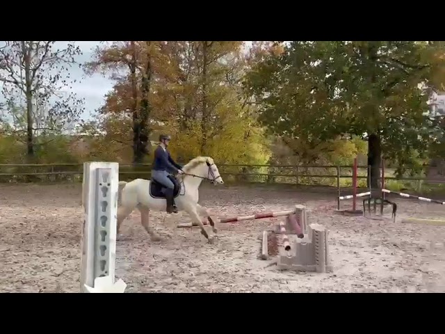 Jument PFS d&rsquo;avenir 