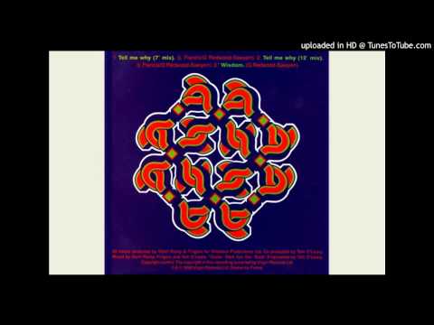 The Sindecut~Tell Me Why [Original]