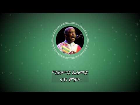 ማሕሙድ አሕመድ: ተይ ምነው; Mahmud Ahmed፡ Tey Minew
