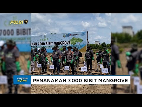 POLAIRUD POLRES PASER TANAM 7.000 BIBIT MANGROVE PERINGATI HARI LINGKUNGAN HIDUP SEDUNIA