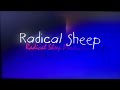 Radical Sheep Productions 1992 2002 Logo Baby Einstein Remake