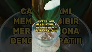 Download lagu good bye bibir hitam!!!perokok wajib tau nie #subscribe #youtubeshorts mp3 Download lagu good bye bibir hitam!!!perokok wajib tau nie #subscribe #youtubeshorts mp3
