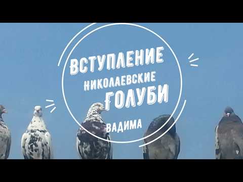 Вступительное видео канала