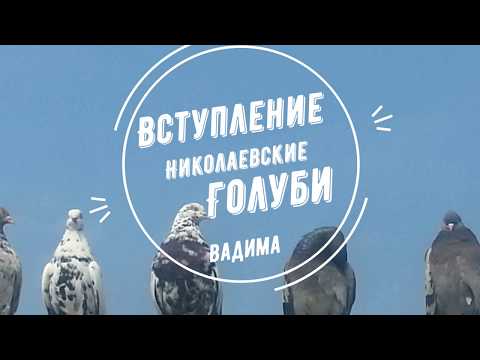 Вступительное видео канала