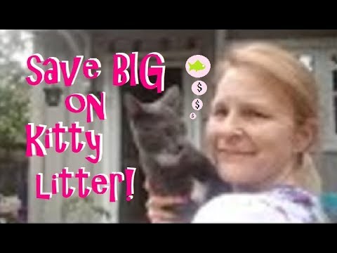 HOW TO SAVE HUNDREDS ON KITTY LITTER OVER THE LIFETIME OF YOUR CAT!
