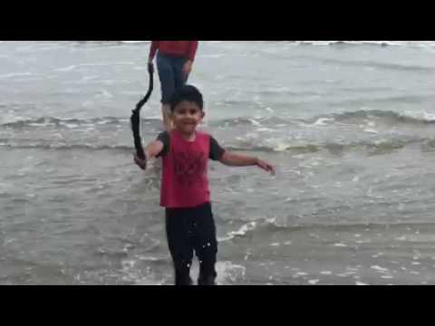 Appu in Isle of Palm beach