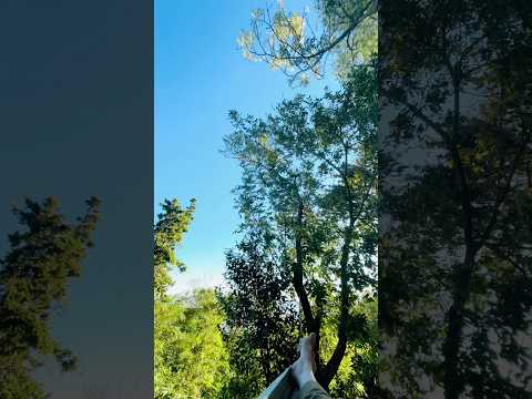 Venta de Casas y Terrenos en Playa Fomento Colonia Uruguay #ventacasa #realestate #terrenosenventa