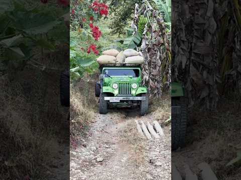 los hermosos jeep j6 cargando café en el municipio de El Cairo valle del cauca Colombia #café #jeep