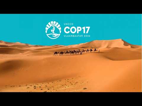 ШУУД: COP17 DAY-4