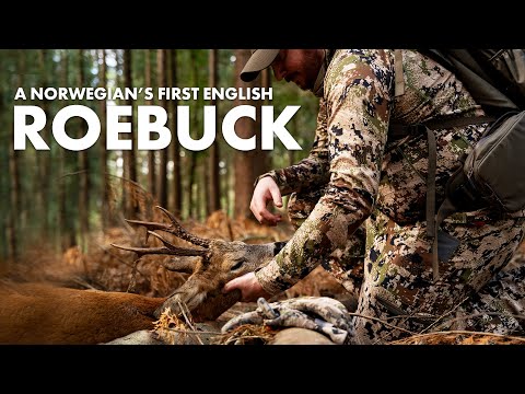A Norwegian Hunter's First English Roebuck & Muntjac