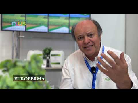 Euroferma - November 30, 2025