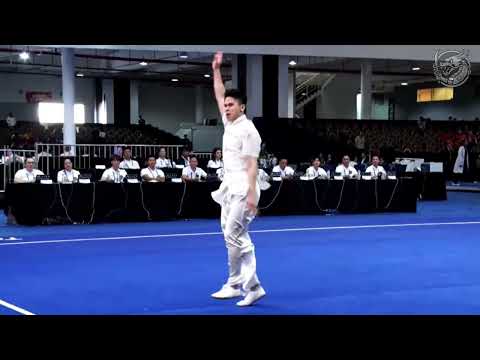 [2025] Edgar Xavier Marvelo 🇮🇩 Q Changquan - Q1 | 17th World Wushu Championships