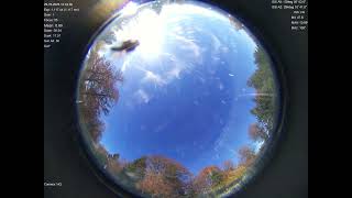 2025-10-29 All sky camera capture from Poiana Rusca Mountains, Romania