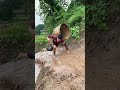 Kwai Funny Tiktok Funny Videos 2020 Chinese Funny Video Most View Chinese Funny Video