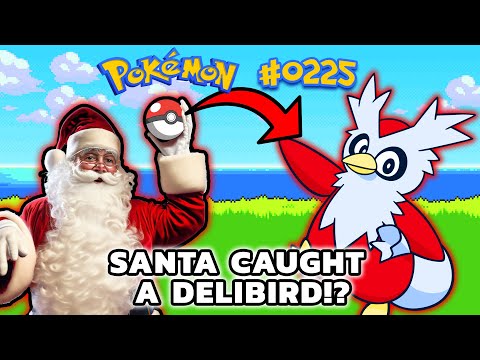 Everything you don't know about DELIBIRD
