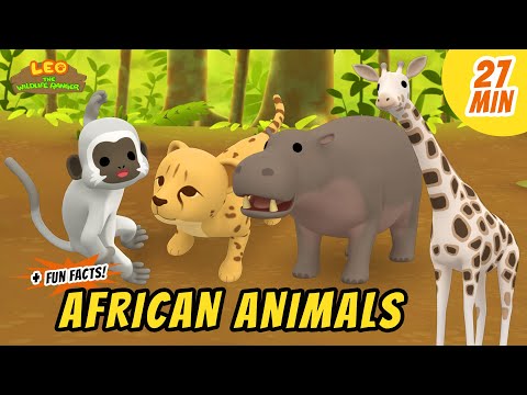 African Animals - Fun, Exciting Animals Stories for Kids | Educational | Leo the Wildlife Ranger