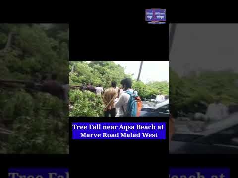 Tree Fall near Aqsa Beach at Marve Road Malad West